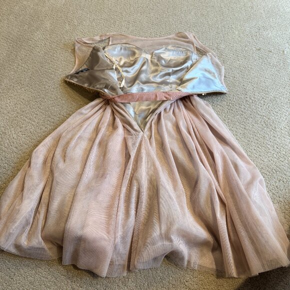 Hailey Adrianna Papell Mini Dress Formal Prom Beige Pink Sequin Tulle Skirt XS - Picture 11 of 12